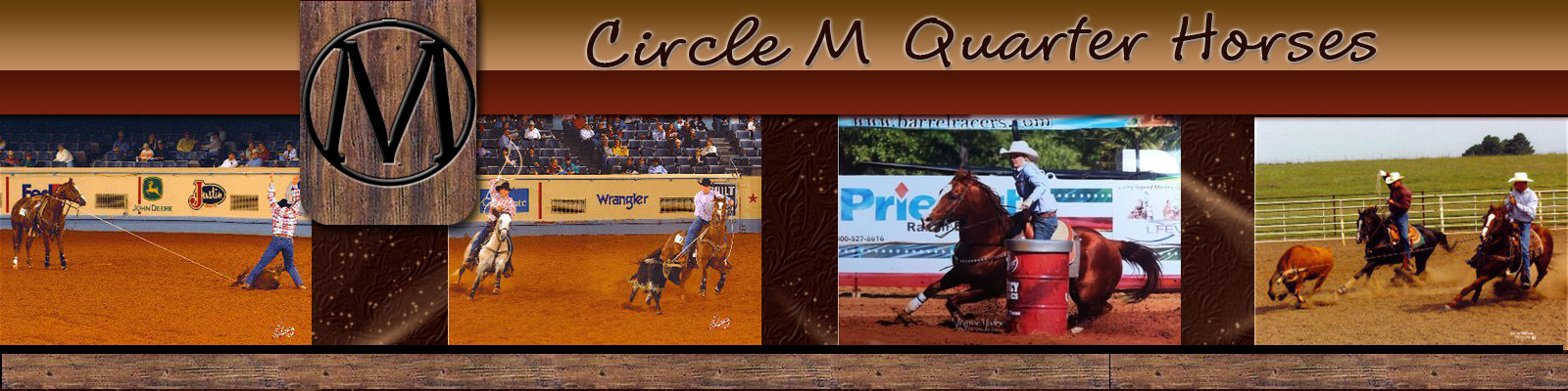 Circle M Quarter Horses