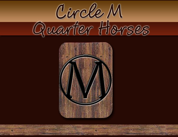 Circle M Quarter Horses